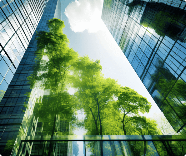 Environmental Compliance