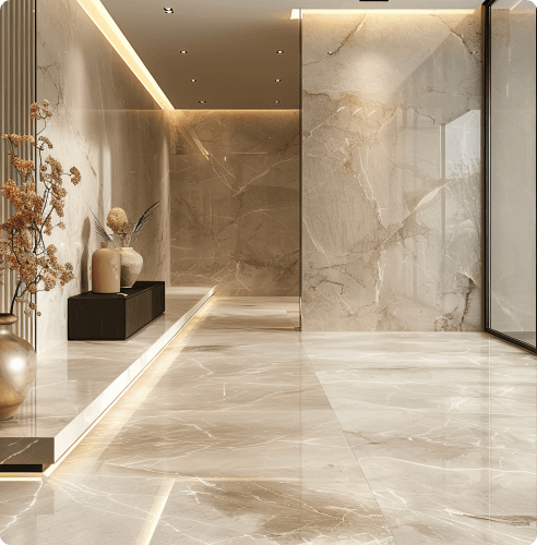 Overview of the Project